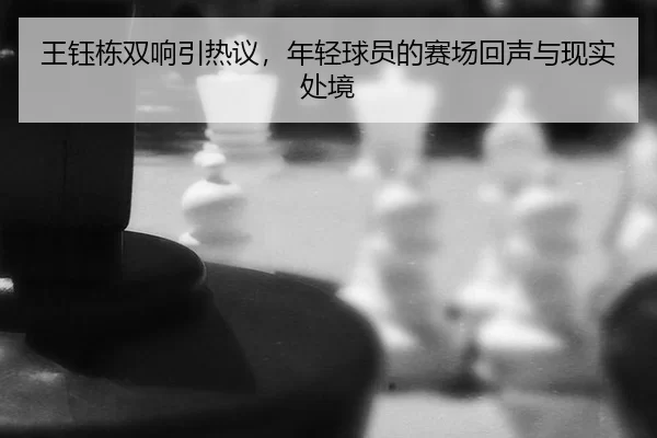 wang-yu-dong-shuang-xiang-yin-re-yi-nian-qing-qiu-yuan-de-sai-chang-hui-sheng-yu-xian-shi-chu-jing-2-888.jpg